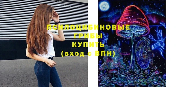 спайс Каменногорск