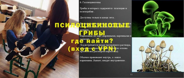 спайс Каменногорск