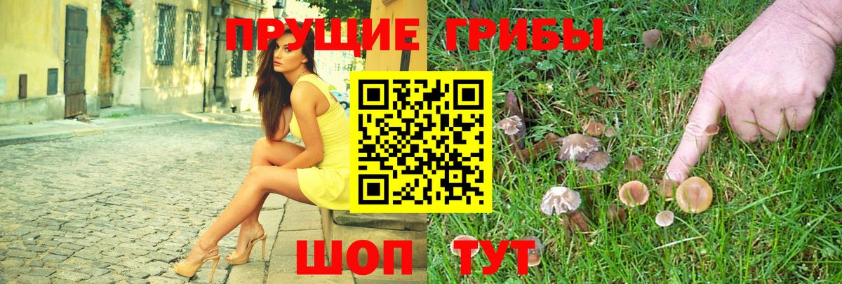 Псилоцибиновые грибы мухоморы Долгопрудный